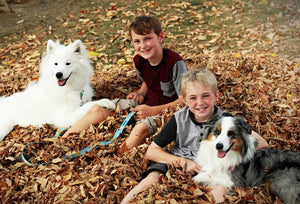 Pet etiquette for kids