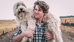 How to deal with matted dog hair