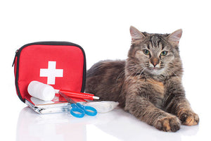 Have you got an emergency pet plan?